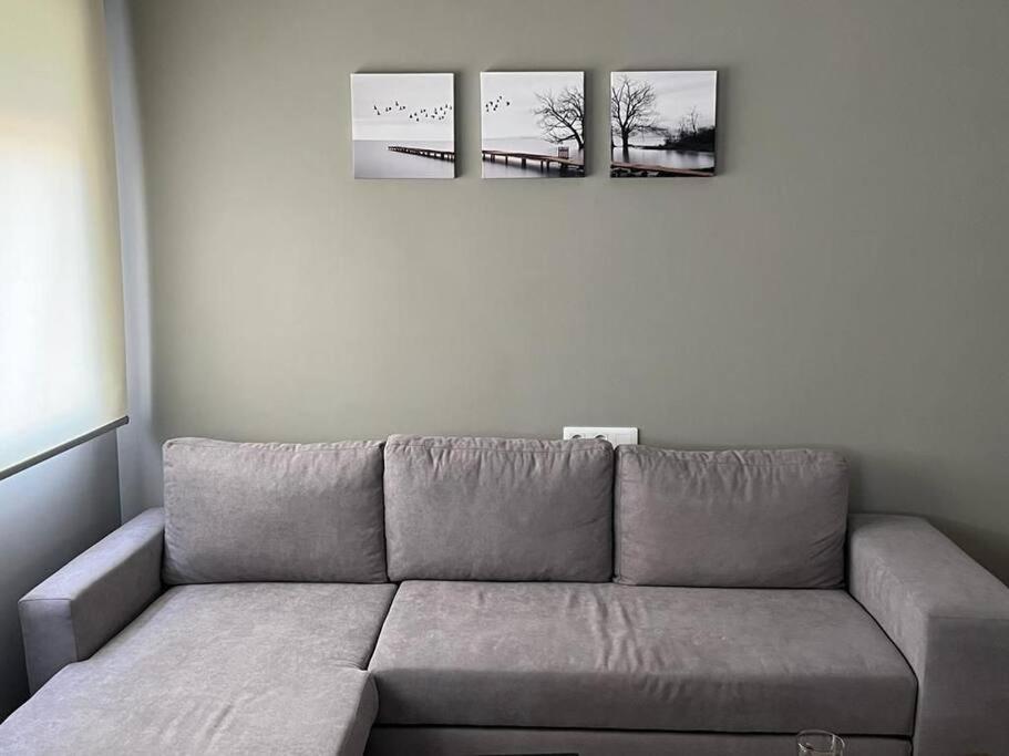 Apartamentos Camino A Ribeira Quiroga エクステリア 写真